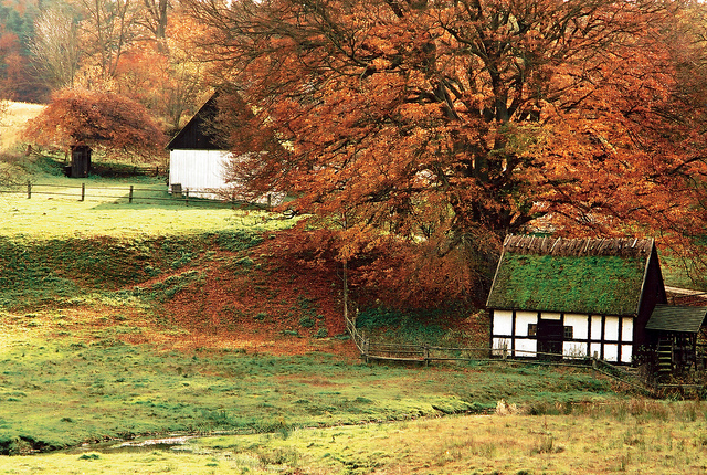 Countryside house -- House, Automn - CC-BY-ND Gunnar Magnusson https://www.flickr.com/photos/matupplevelser/4644386646
