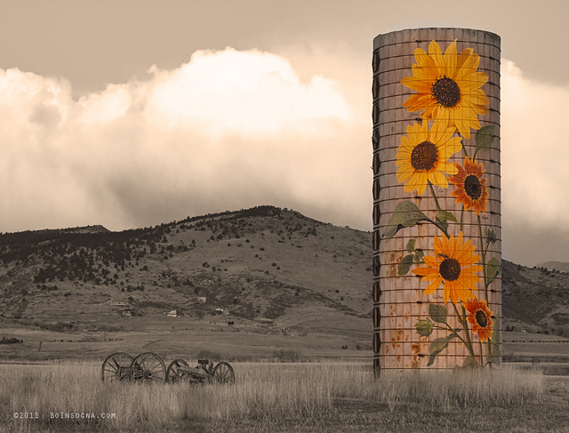 The future of silos - CC-BY-NC-ND Sunflower Silo in Boulder County Colorado by Bo Insogna — https://www.flickr.com/photos/thelightningman/5494666930